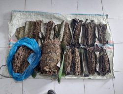 Warga Bener Meriah Ditangkap Satres Narkoba Aceh Tengah