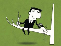 Akreditasi dan Sertifikasi Kebodohan