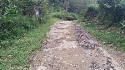 Masyarakat Pilar Wih Kiri Aceh Tengah Butuh Peningkatan Jalan
