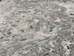 Pengerjaan Lantai Masjid Darussalam Bintang, Pakai Kaki?