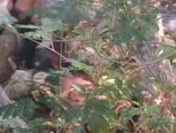 2 Orang Tenggelam di Wihni Simpil Aceh Tengah, 1 Orang Meninggal ?