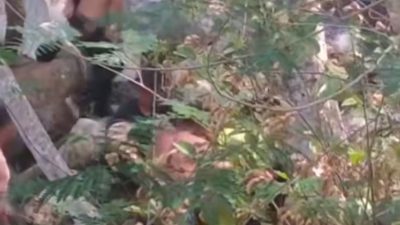 2 Orang Tenggelam di Wihni Simpil Aceh Tengah, 1 Orang Meninggal ?