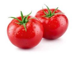 Harga Tomat Rp1.000 per Kg Petani Aceh Tengah Rugi