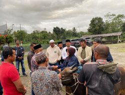 Ketua DPD Partai NasDem Bener Meriah,  Sarhamija Serahkan Satu Ekor Sapi Kepada Masyarakat Kampung Jungke