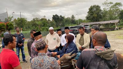 Ketua DPD Partai NasDem Bener Meriah,  Sarhamija Serahkan Satu Ekor Sapi Kepada Masyarakat Kampung Jungke
