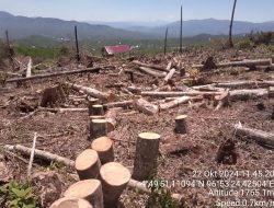 KPH III Aceh Temukan Hutan Lindung Dirambah di Permata Bener Meriah, Potensi Mengancam di Masa Depan