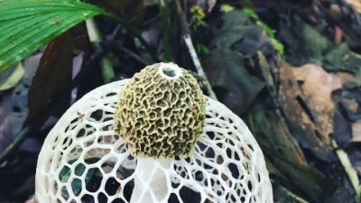 Calon Pendaki Burni Kelieten Aceh Tengah Kecewa, Jalur Ditutup