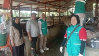 PMK Merebak di Aceh Utara, Dinas Terkait Gelar Pemeriksaan dan Pengobatan Massal