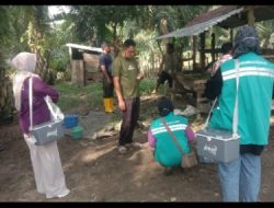 Satgassus Swasembada Ketahanan Pangan dan BPP Simpang Keuramat Aceh Utara Dampingi Pengobatan Massal Hewan Ternak