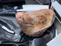 Teror Kepala Babi ke Jurnalis Tempo Serangan Berbahaya Terhadap Kemerdekaan Pers