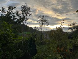 Seutas Harap di Ujung Sunyi