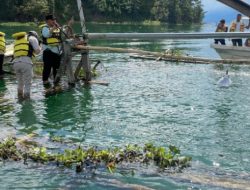 Muchsin Hasan Tinjau Cangkul Padang dan Cangkul Dedem di Danau Lut Tawar