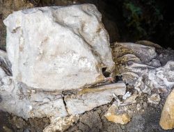 Mendale Tanah yang Menulis Sejarah