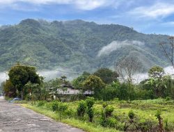 Mereka yang Dipilih Allah