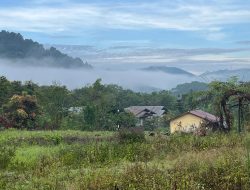 GAYO: Antara Alam dan Abai
