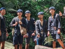 Langkah Tanpa Alasan, Suara dari Hutan Sunyi