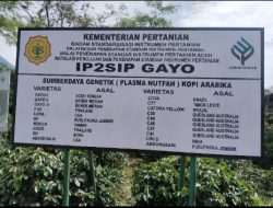 IP2SIP Bener Meriah Menyediakan Aneka Varietas Kopi