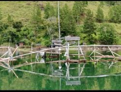 Peringatan Terakhir! Segera Bongkar Cangkul Padang dan Dedem Secara Mandiri Sebelum 5 Juli 2025