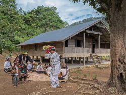 Pentas Tari Guel di Atas Akar