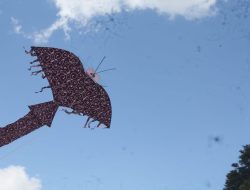 Layang-layang Raksasa Kampung Sanehen Viral Hiasi Langit Aceh Tengah