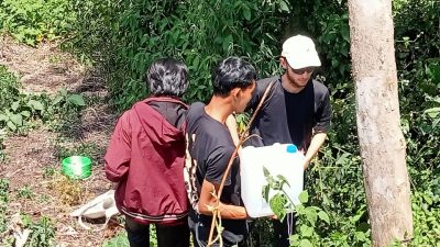 Karang Ampar Menang Laga dengan Gajah Tanpa Menumpahkan Darah