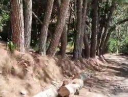 Pentago Bener Meriah Ramai Didatangi Wisatawan, Perbaikan Jalan Perlu Perhatian Pemda