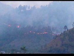 Dua Saksi Diminta Keterangan Akibat Kebakaran Hutan dan Kebun Warga di Pinggir Danau Laut Tawar